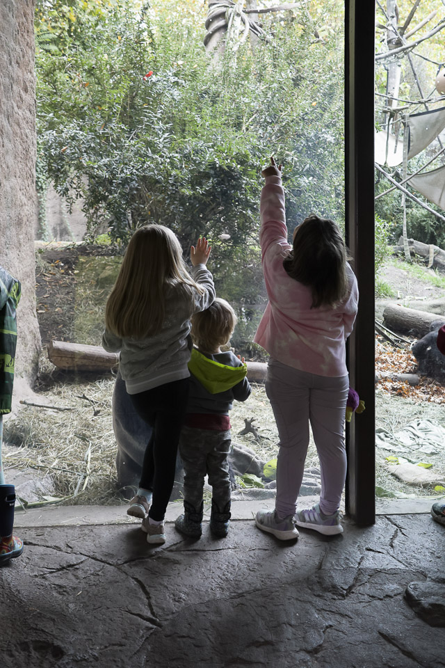 Woodland Park Zoo — photo 14